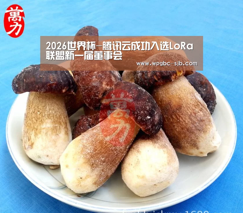 2026世界杯-腾讯云成功入选LoRa联盟新一届董事会(图3) 世界杯投注