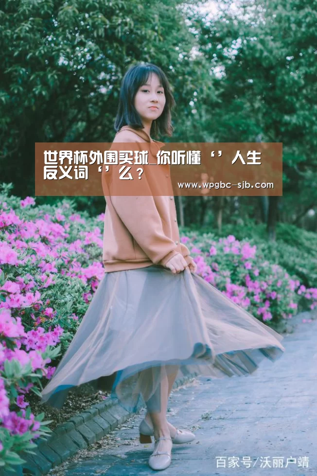 世界杯外围买球_你听懂‘’人生反义词‘’么?(图2) 世界杯买球网站