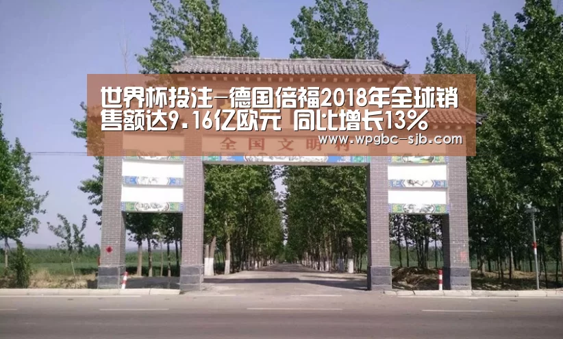 世界杯投注-德国倍福2018年全球销售额达9.16亿欧元 同比增长13%(图1) 2026世界杯