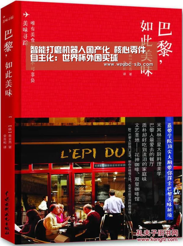 智能打磨机器人国产化 核心零件自主化:世界杯外围买球(图4) 2026世界杯